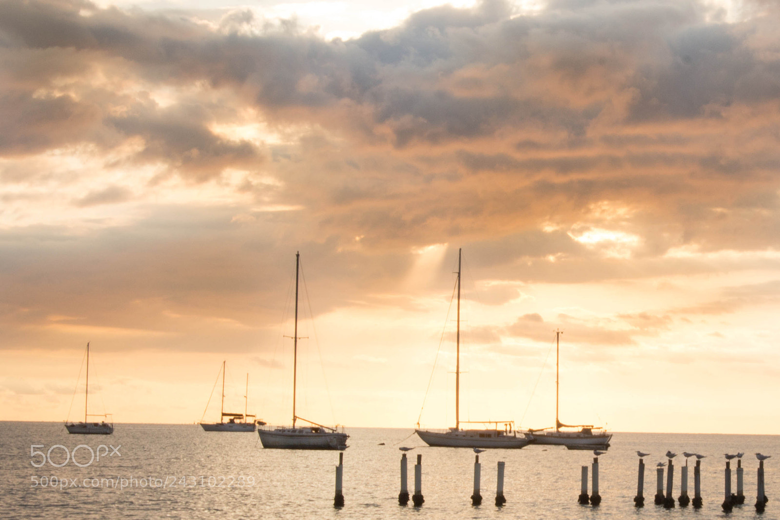 Canon EOS 700D (EOS Rebel T5i / EOS Kiss X7i) sample photo. Contrast sunset photography