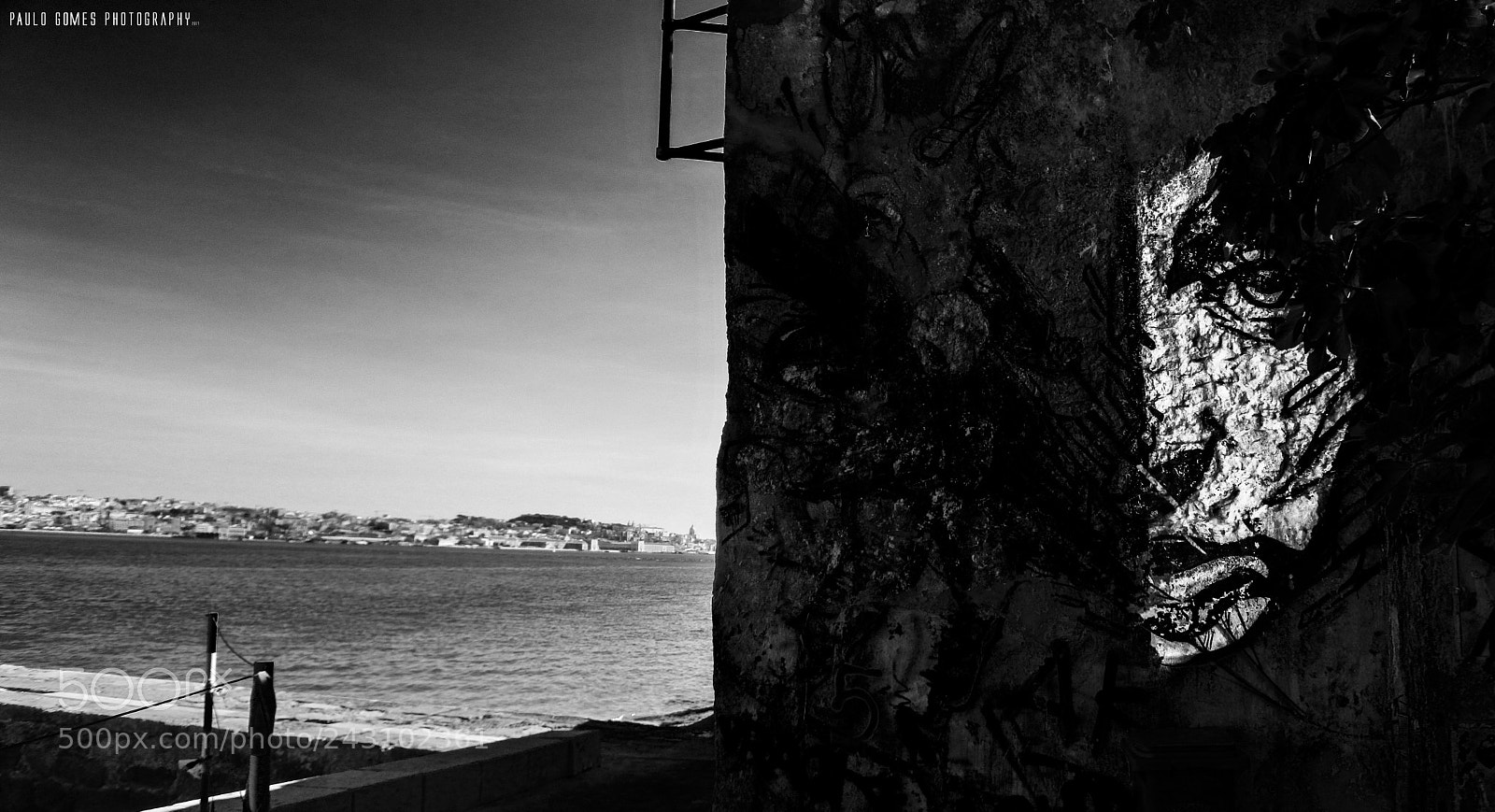 Nikon 1 J5 sample photo. Nunca mais tiro os photography