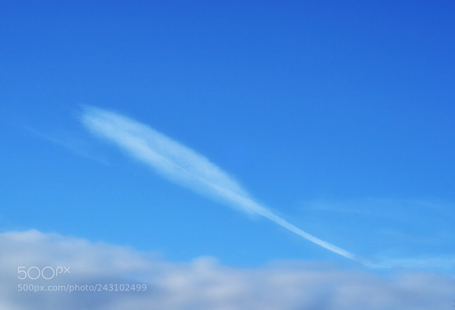 Nikon D5500 sample photo. Feather in the sky photography