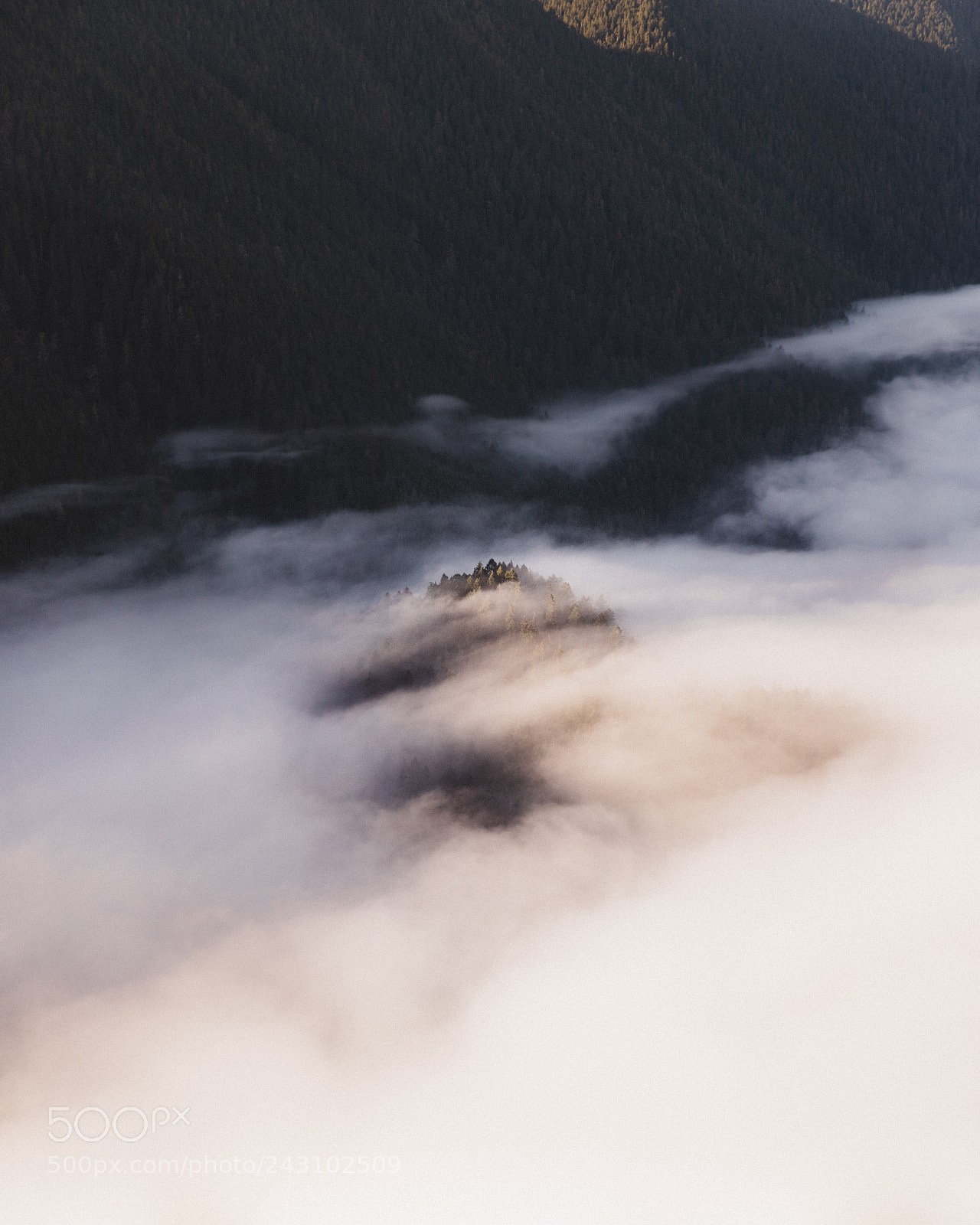Canon EOS-1D X Mark II sample photo. Mount storm king photography