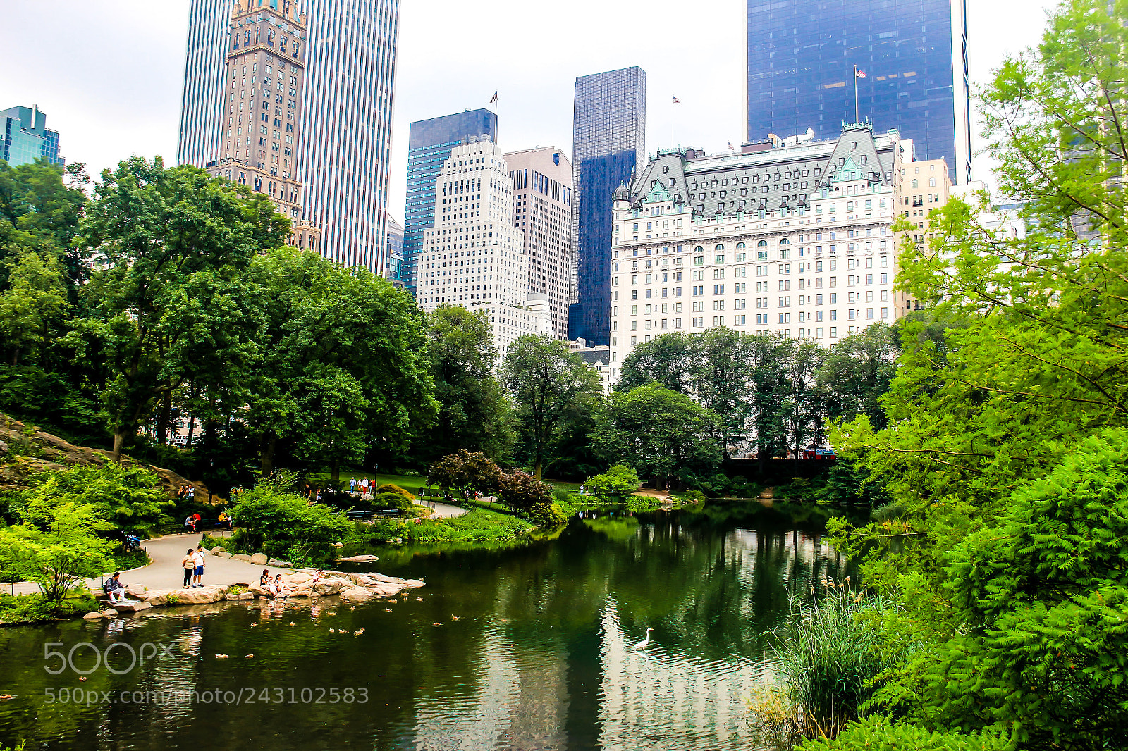 Canon EOS 60D sample photo. New york, new york photography