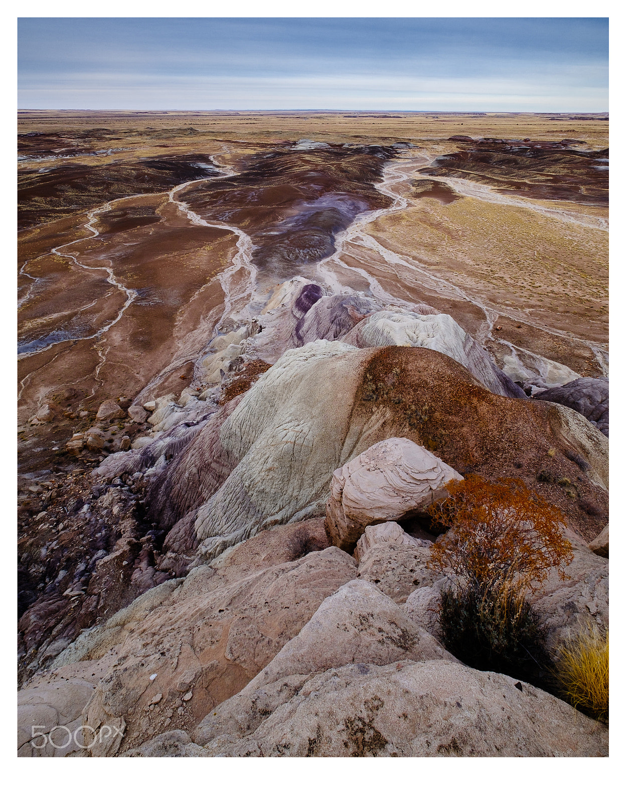 Fujifilm X-T2 sample photo. Petrified forest overlook photography