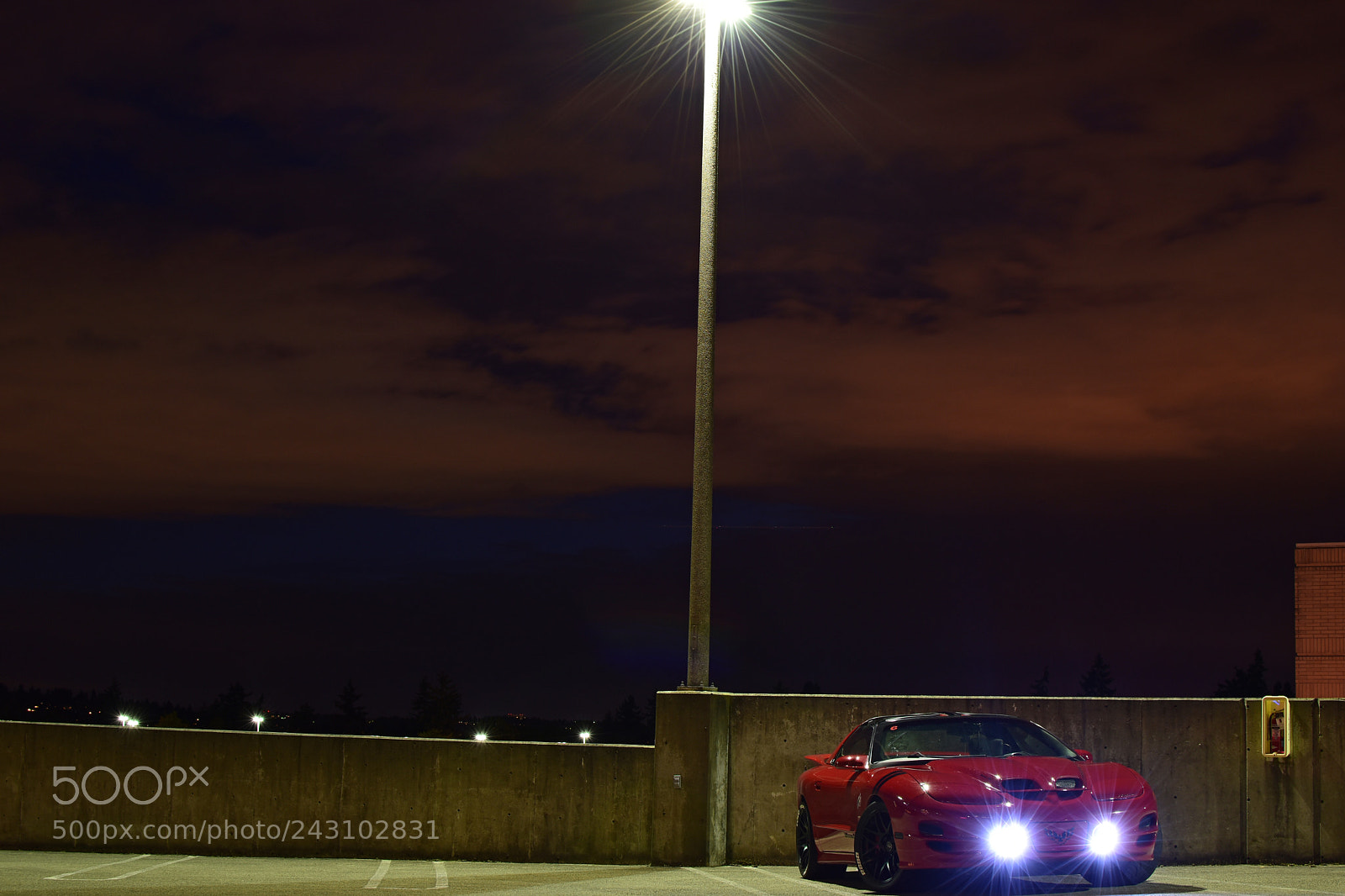 Nikon D5500 sample photo. Firebird #1 photography