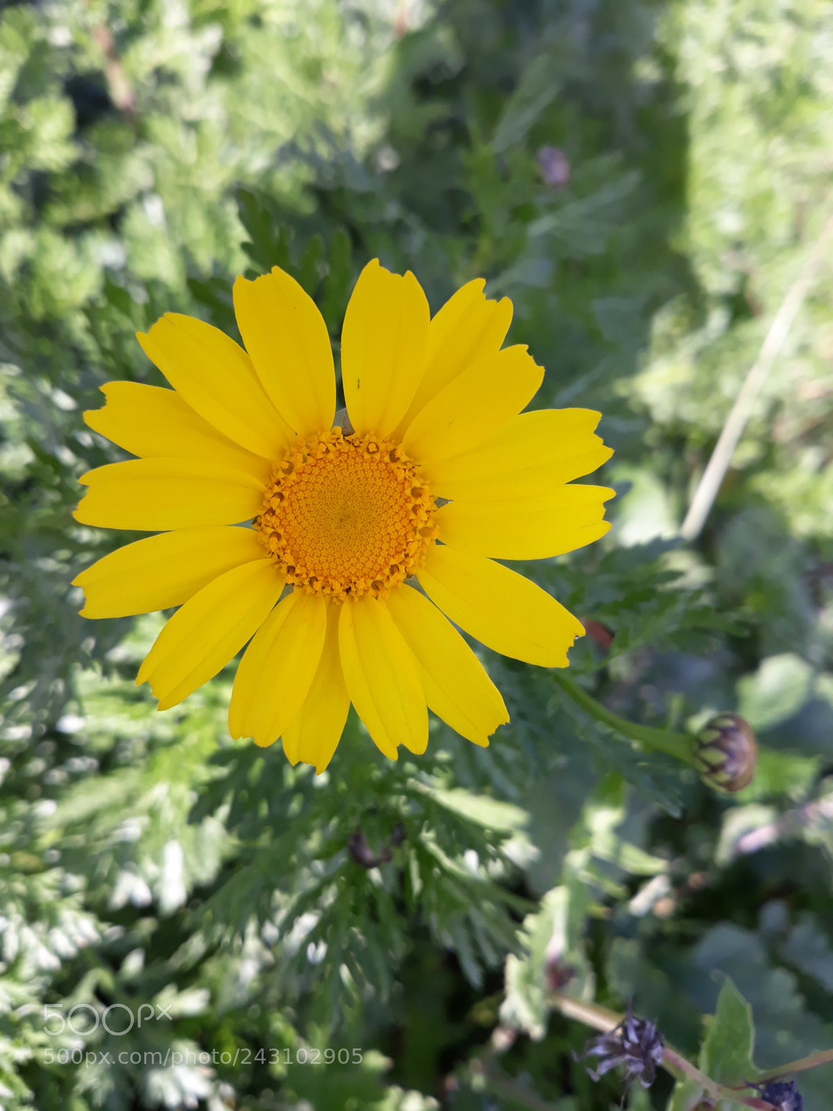 Samsung Galaxy J7 sample photo. Untitled photography