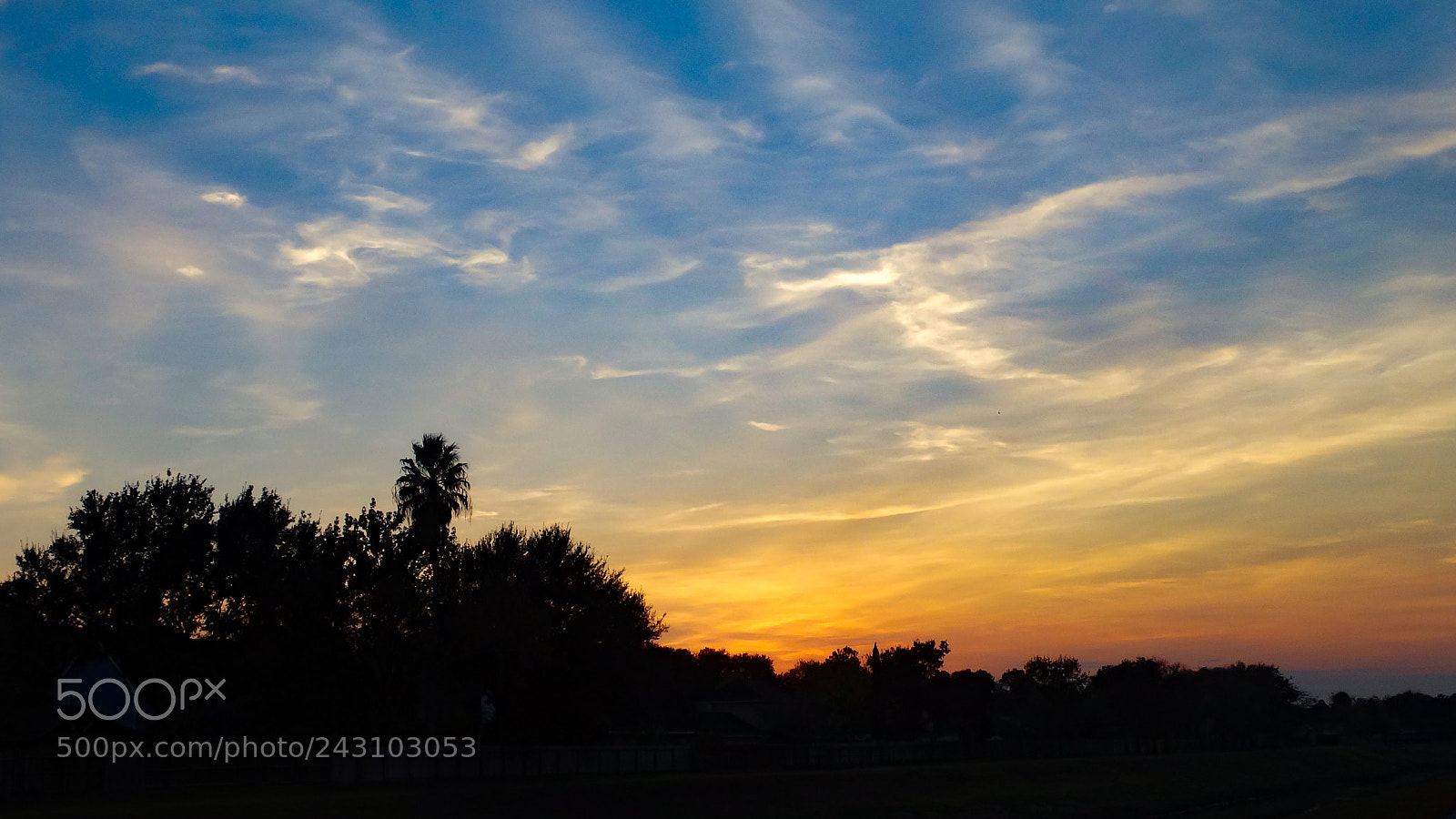 Sony Cyber-shot DSC-HX300 sample photo. Neopolitan ice-cream photography