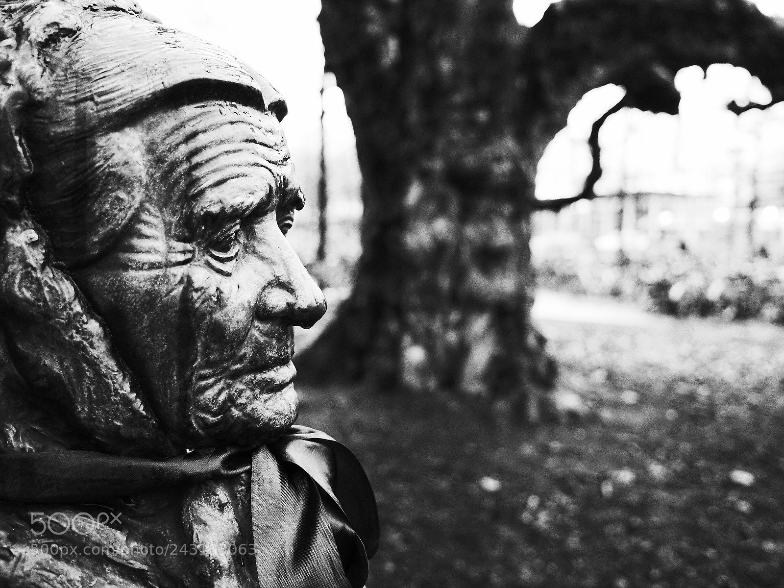 Ricoh GR sample photo. Opt photography