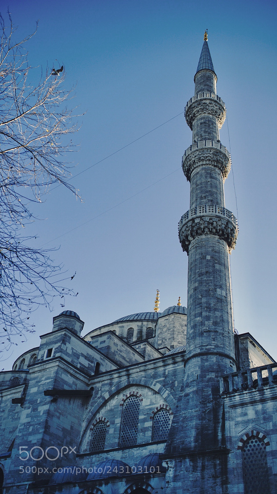 Sony a7R II sample photo. Istanbul blue mosque photography