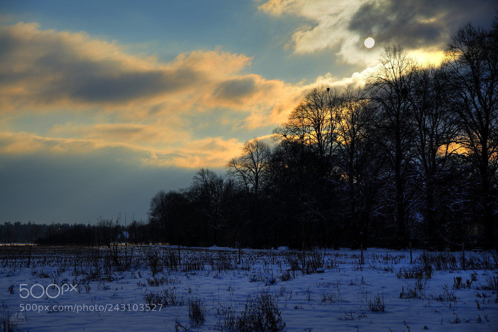 Sony ILCA-77M2 sample photo. After the storm photography