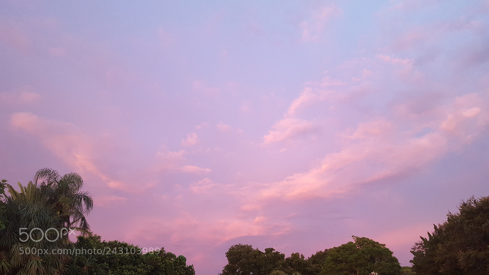 Samsung GALAXY S6 edge sample photo. Twilight's adjure photography