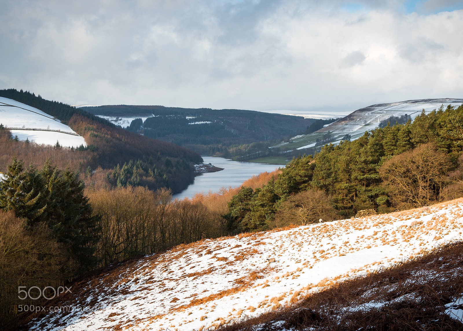 Nikon D5500 sample photo. Ladybower photography