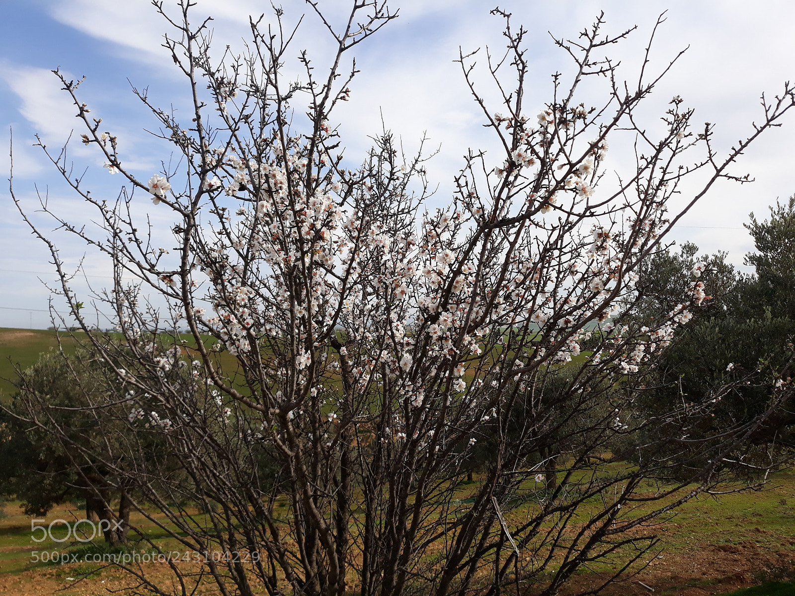 Samsung Galaxy J7 sample photo. Untitled photography