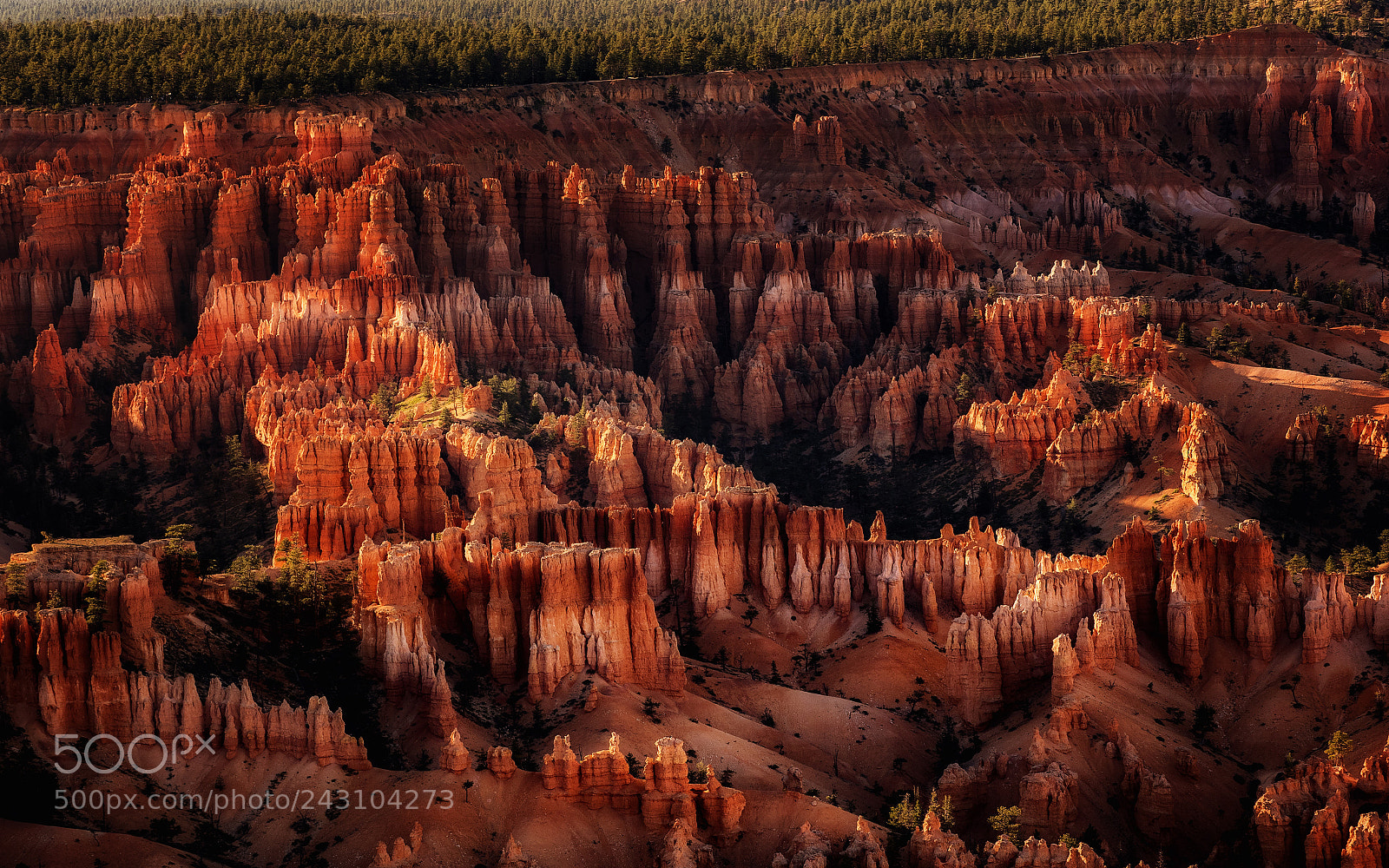 Olympus OM-D E-M1 sample photo. Bryce canyon photography