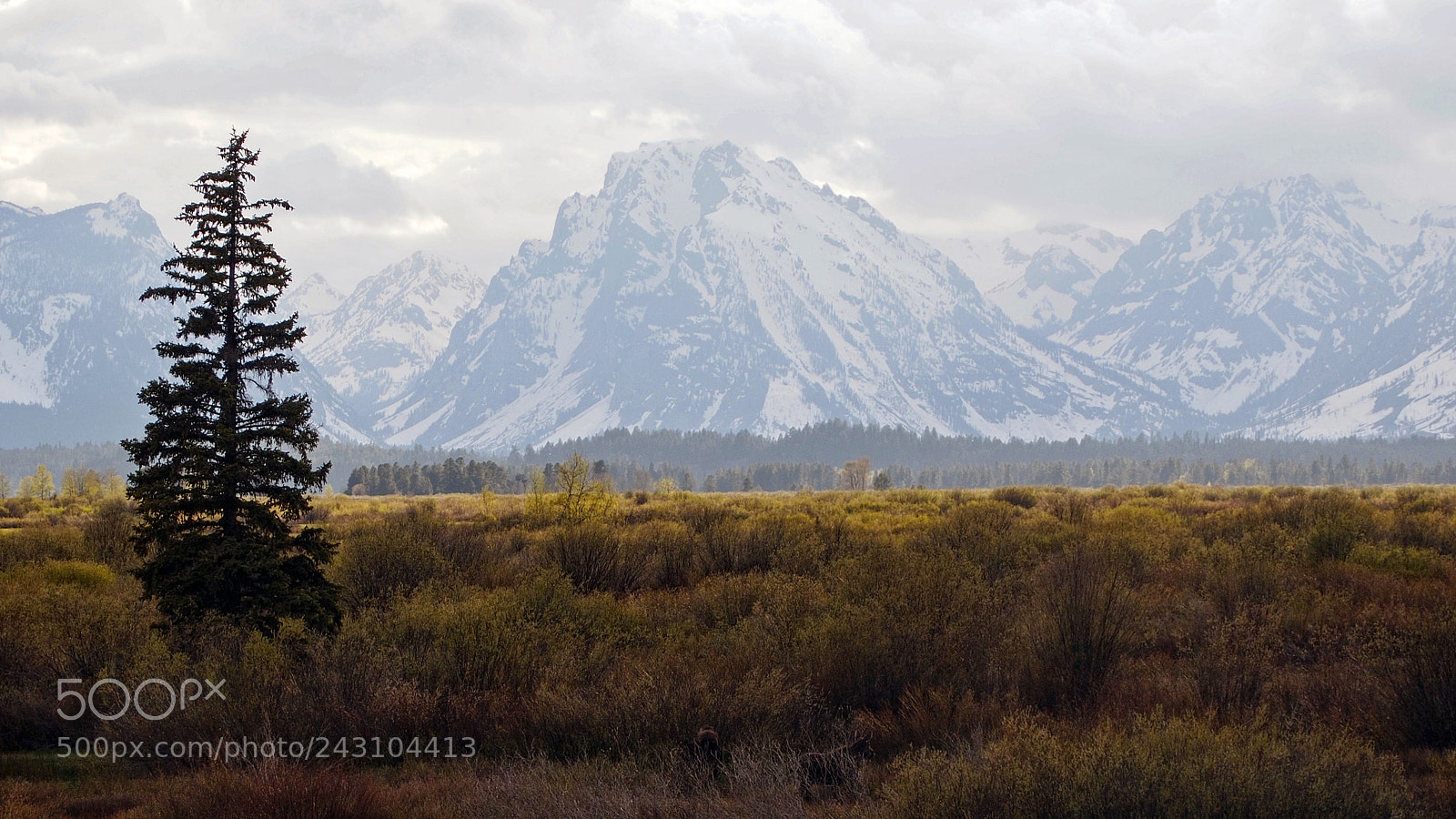 Olympus OM-D E-M5 sample photo. Grand teton national park photography