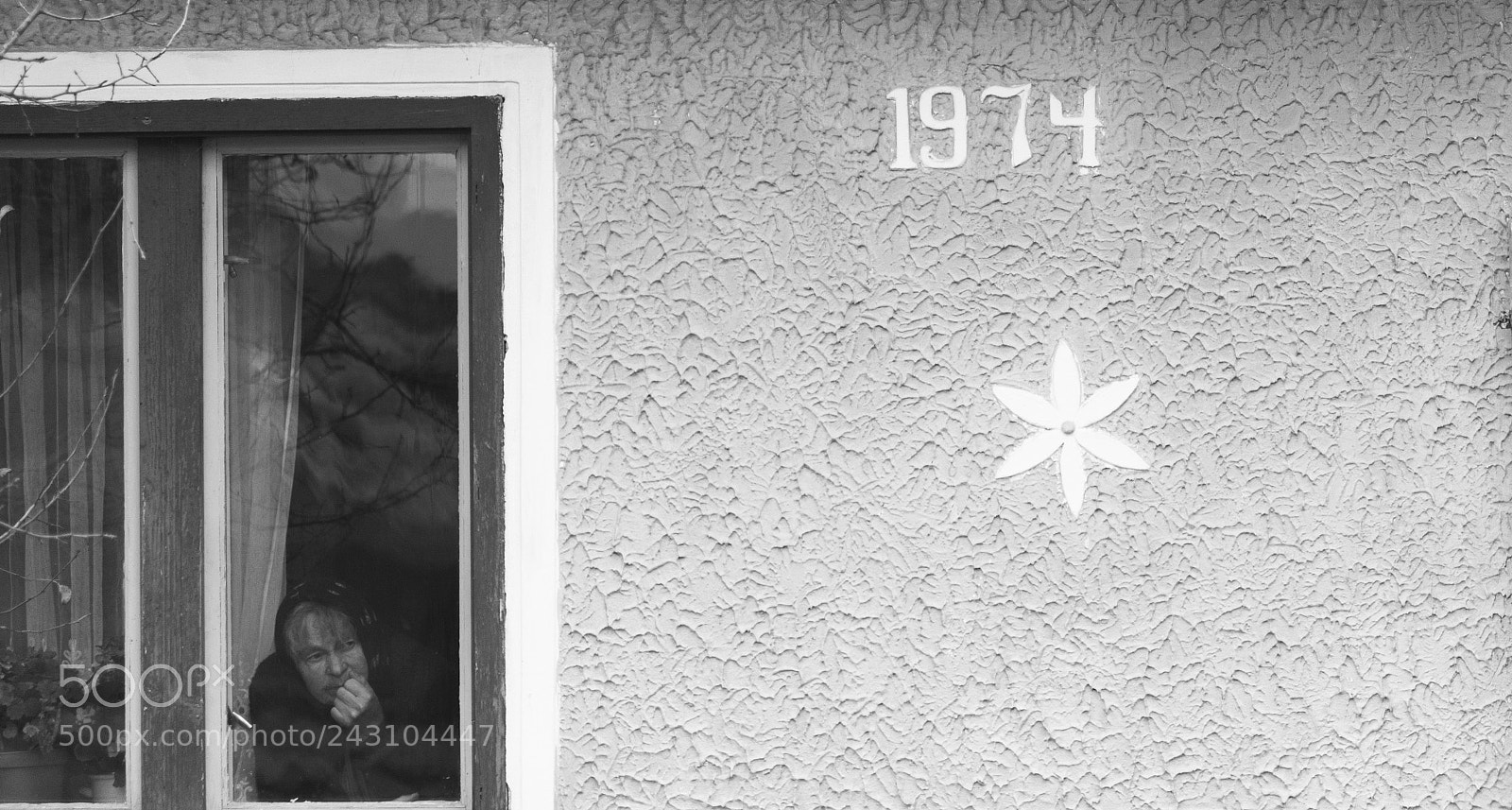 Nikon D610 sample photo. 1974.jpg photography