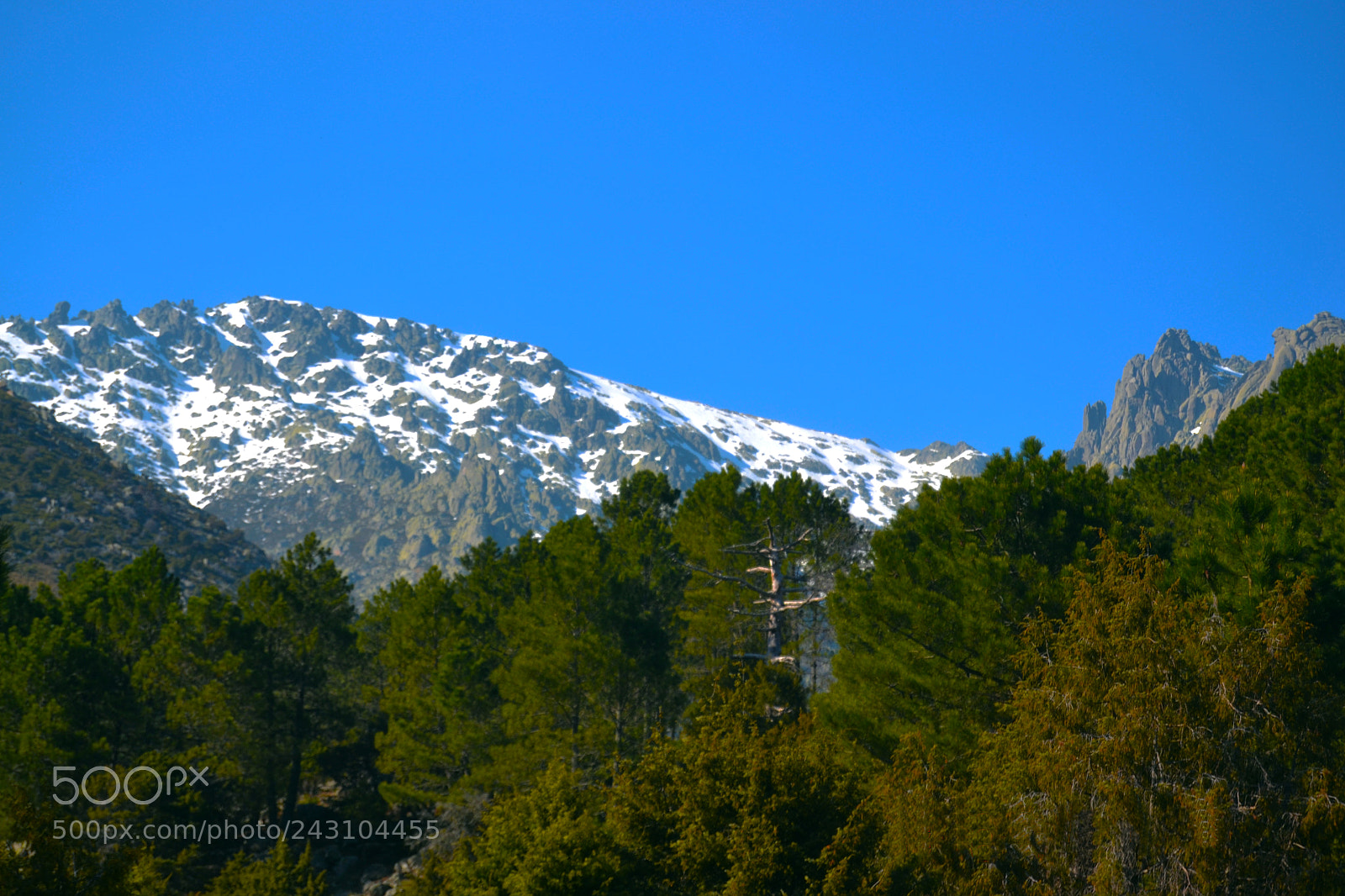 Nikon D3100 sample photo. Sierra de gredos photography