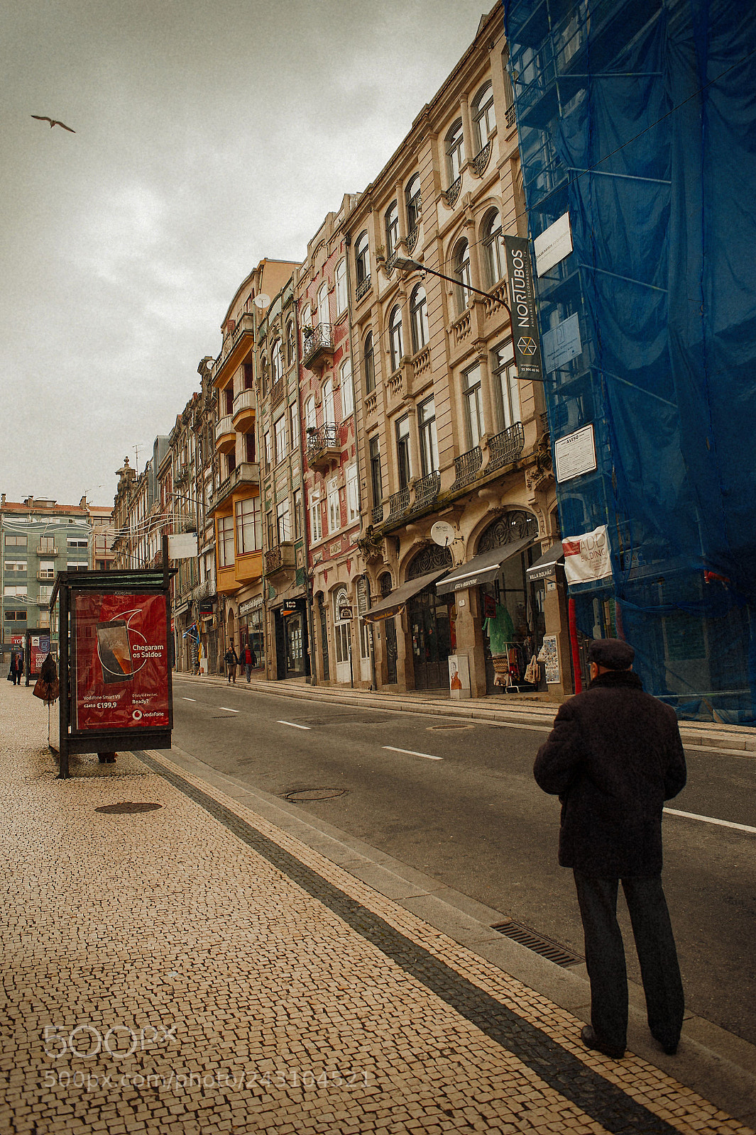 Nikon D700 sample photo. Untitled photography