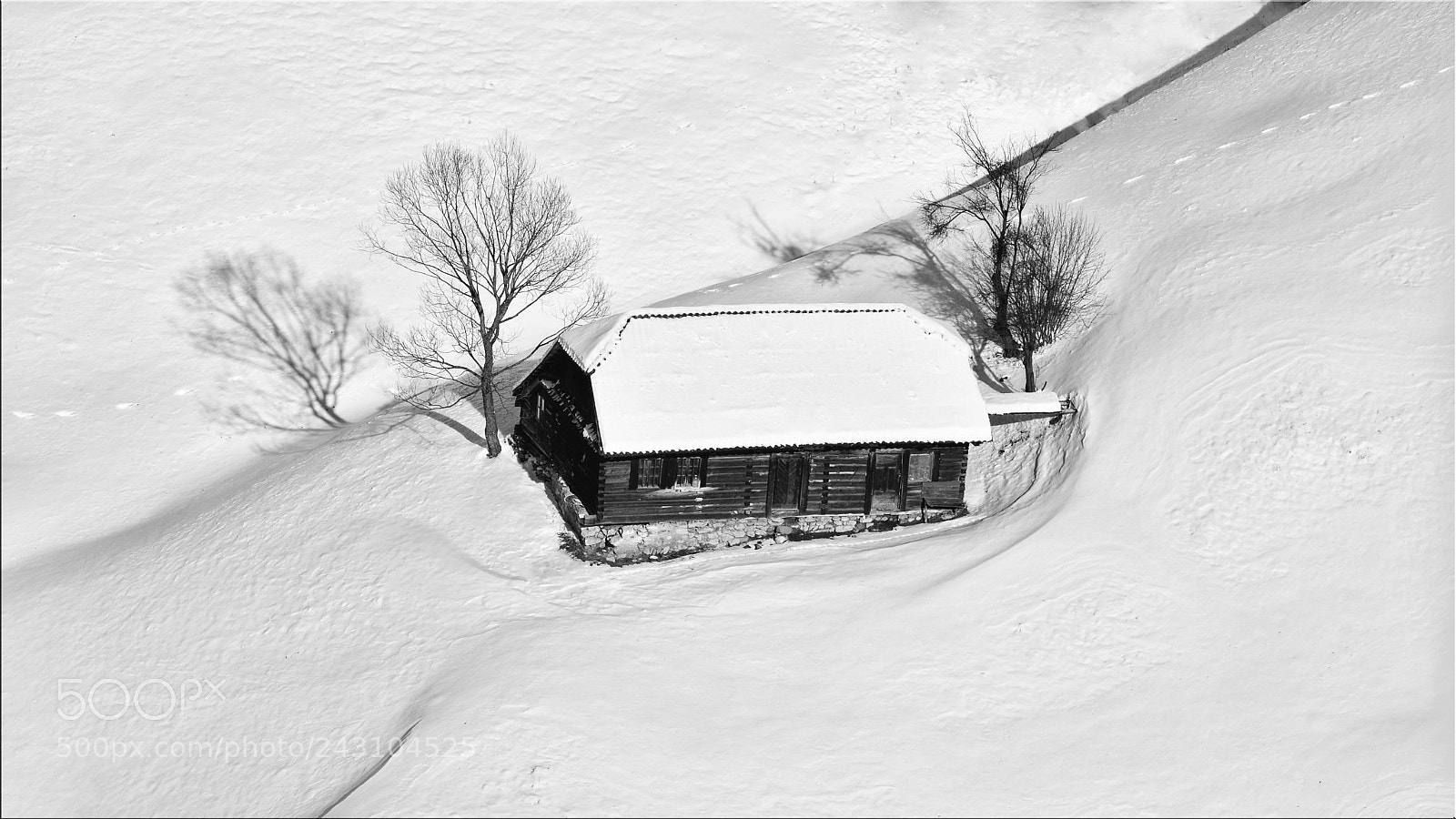 Nikon D7200 sample photo. Life in bran in photography