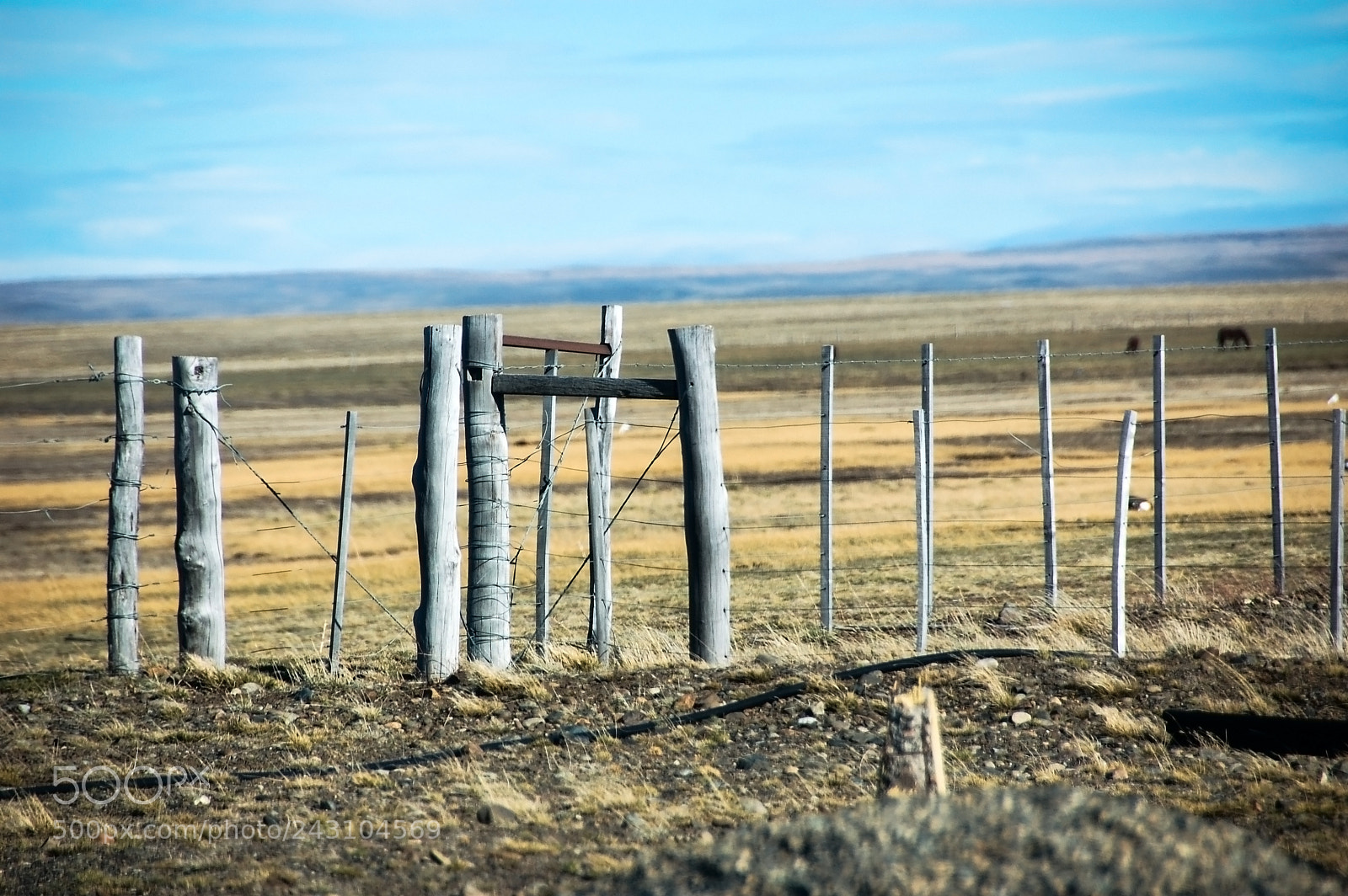 Nikon D50 sample photo. Along my road... photography