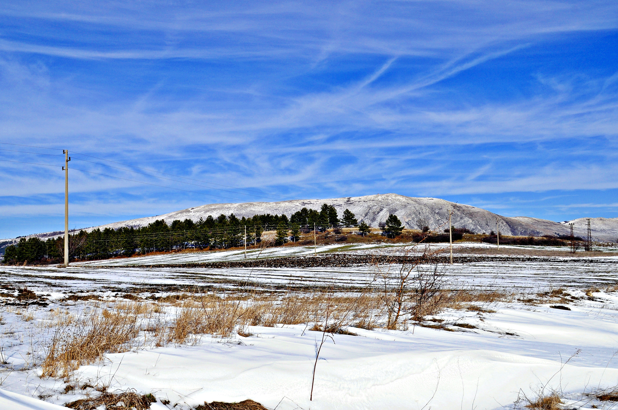 Nikon D5000 sample photo. Космина Чепън photography
