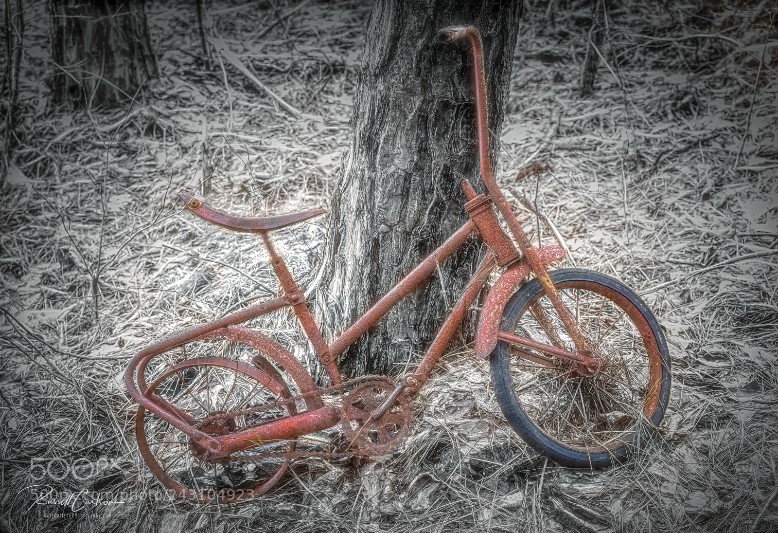 Sony a7R II sample photo. Forgotten treasure photography