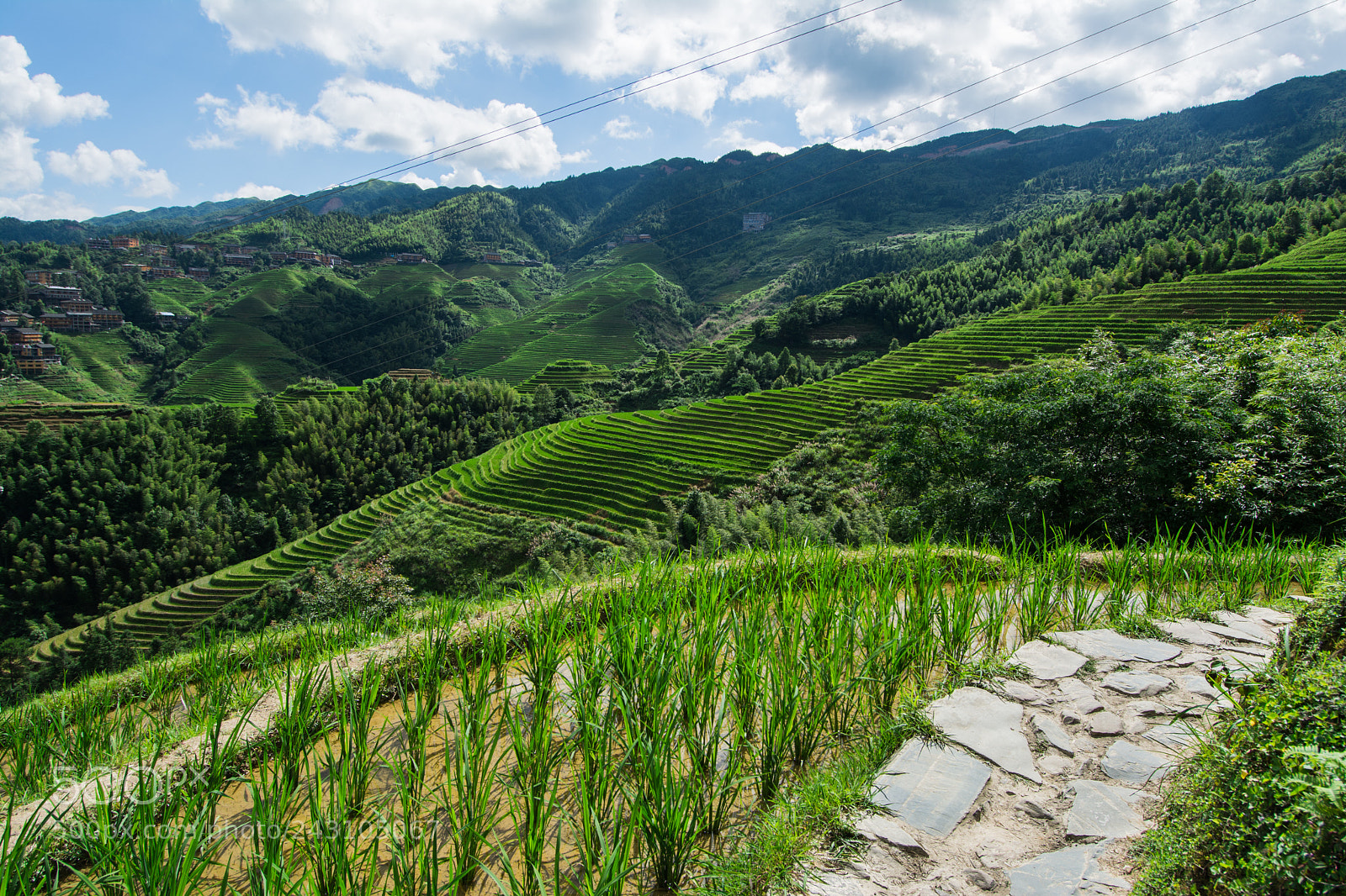 Nikon D7100 sample photo. Longji rice terraces photography