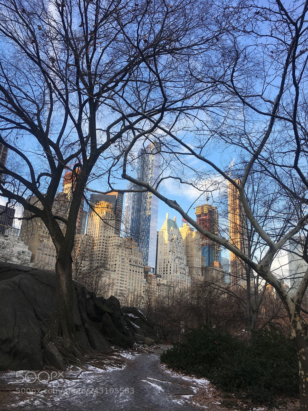 Apple iPhone 6s Plus sample photo. Central park photography