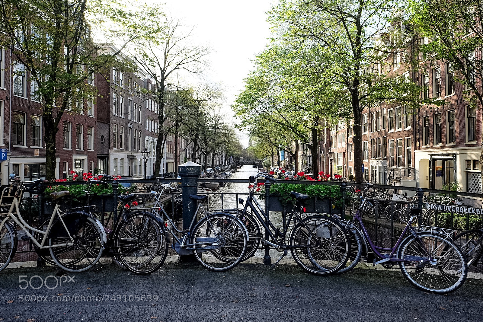 Fujifilm X-T10 sample photo. Bicycles photography