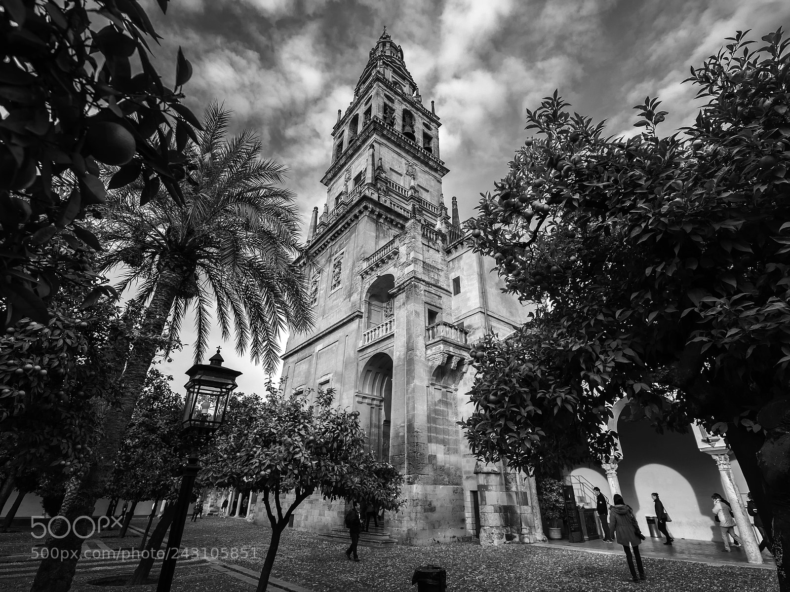 Olympus OM-D E-M1 sample photo. Patio de los naranjos photography
