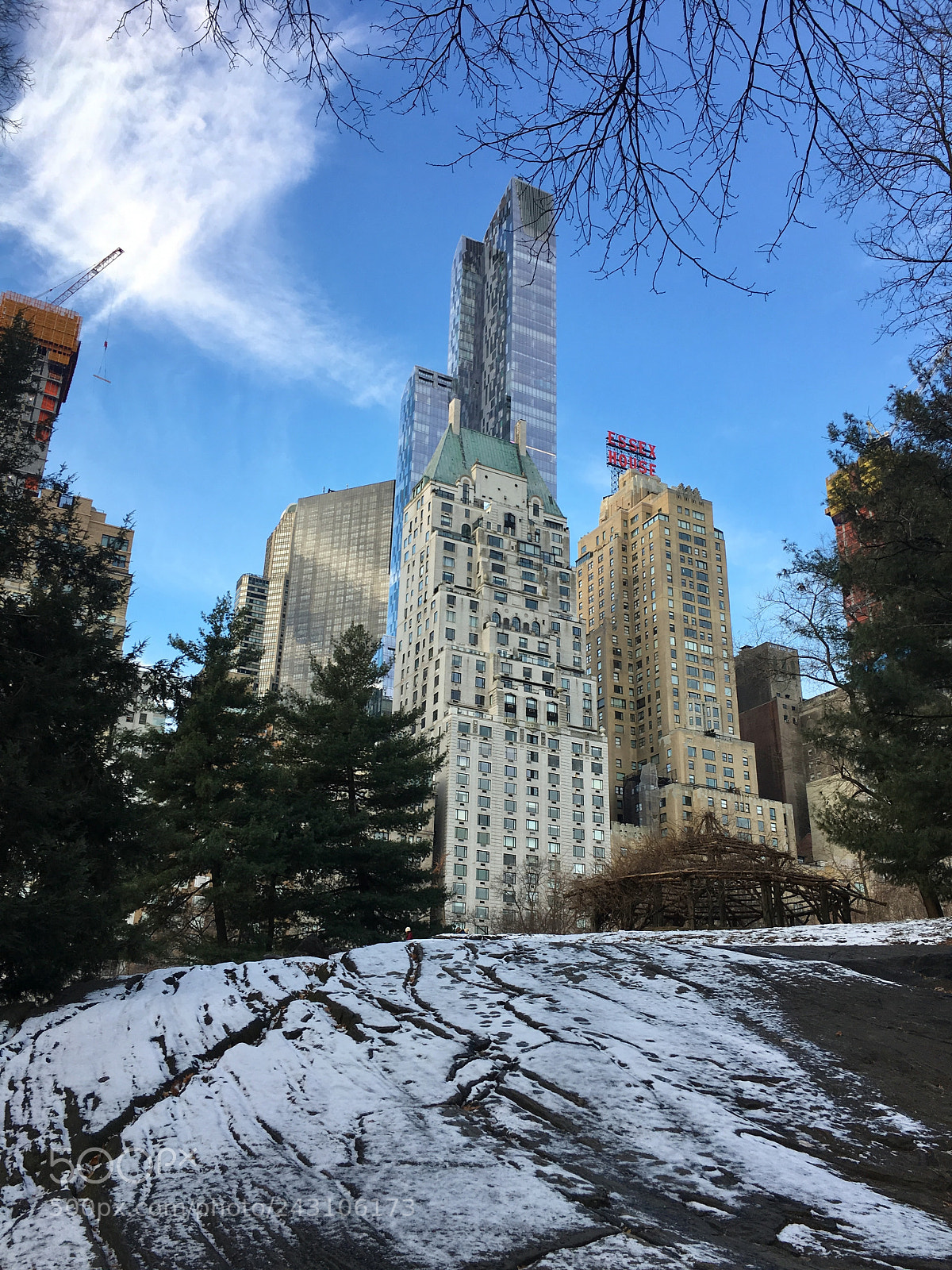 Apple iPhone 6s Plus sample photo. Central park photography
