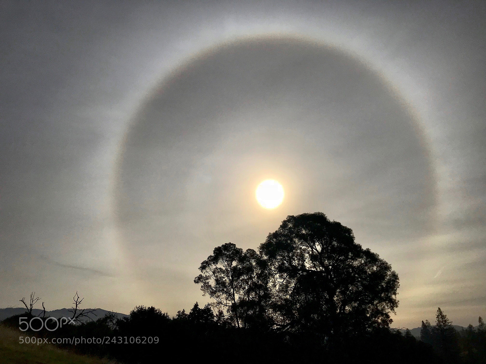 Apple iPhone 7 sample photo. Halo around sun photography