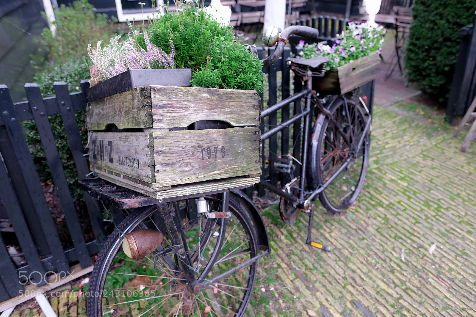 Fujifilm X-T10 sample photo. Flower boxes photography