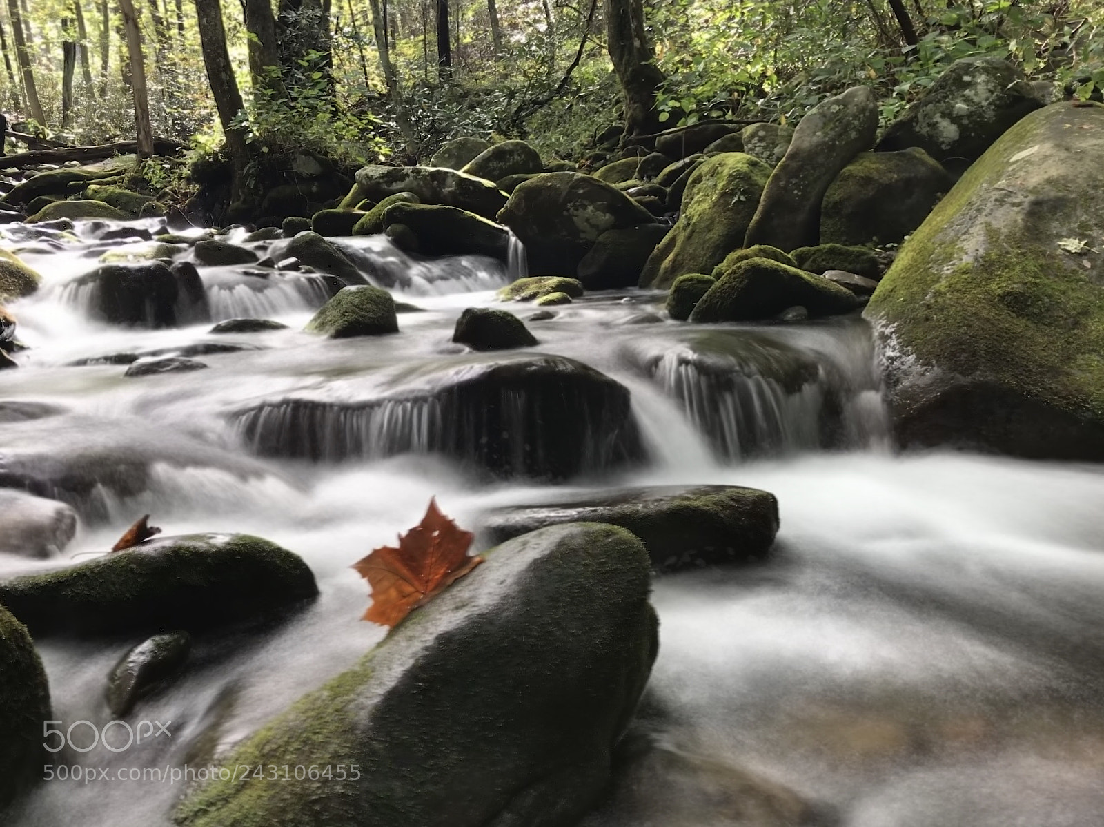 Apple iPhone 7 Plus sample photo. Flow photography