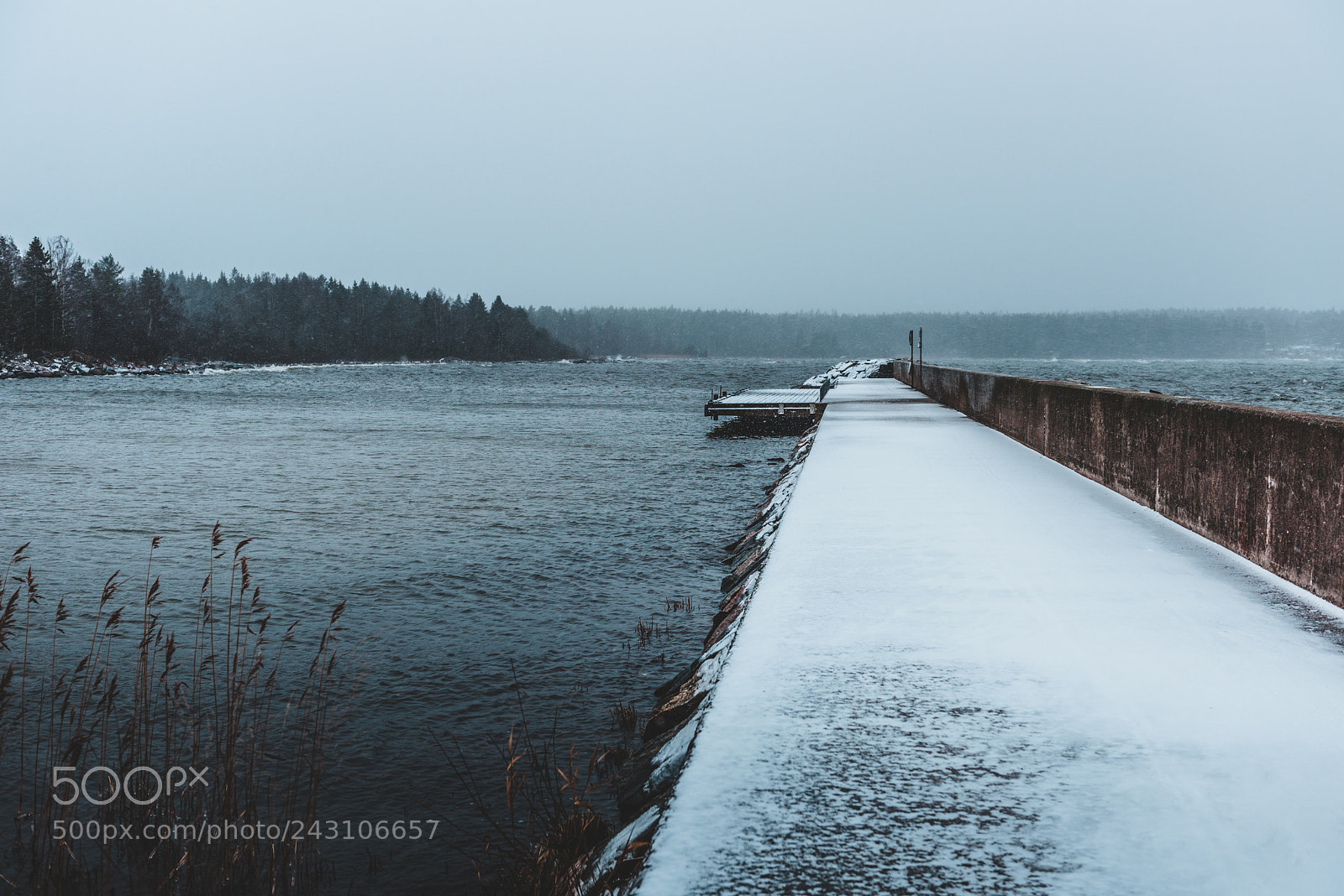 Nikon D810 sample photo. Winter storm photography