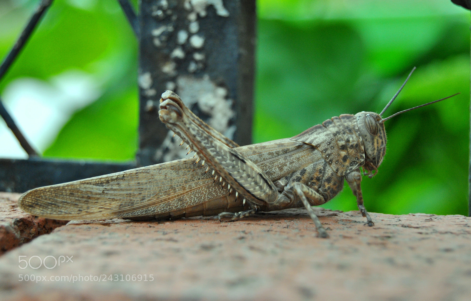 Nikon D3000 sample photo. Visitor photography