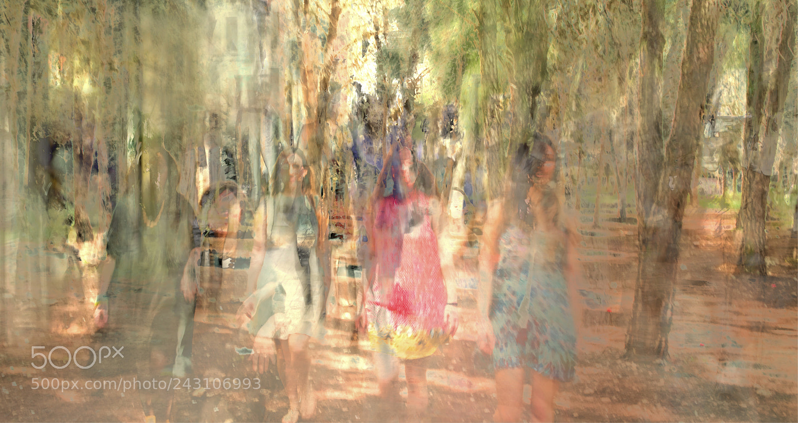 Nikon D5100 sample photo. In the forest photography