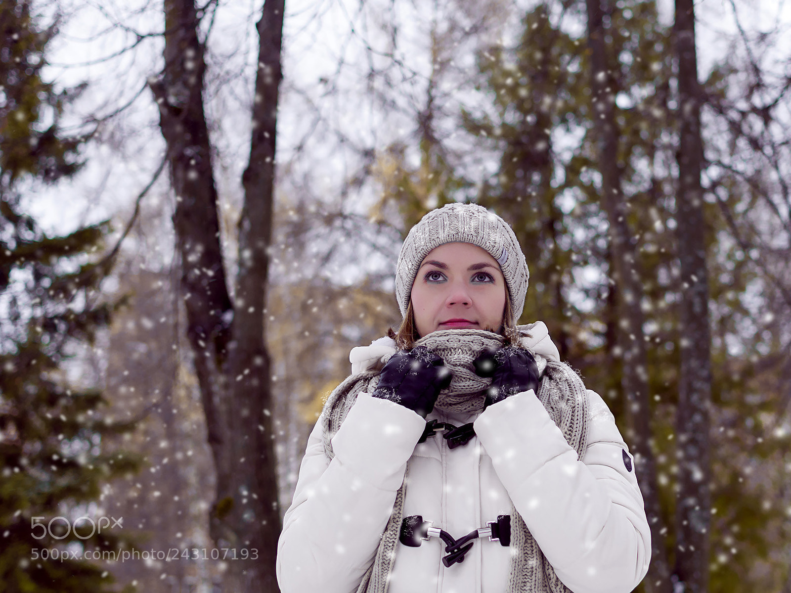 Nikon D90 sample photo. Frost photography