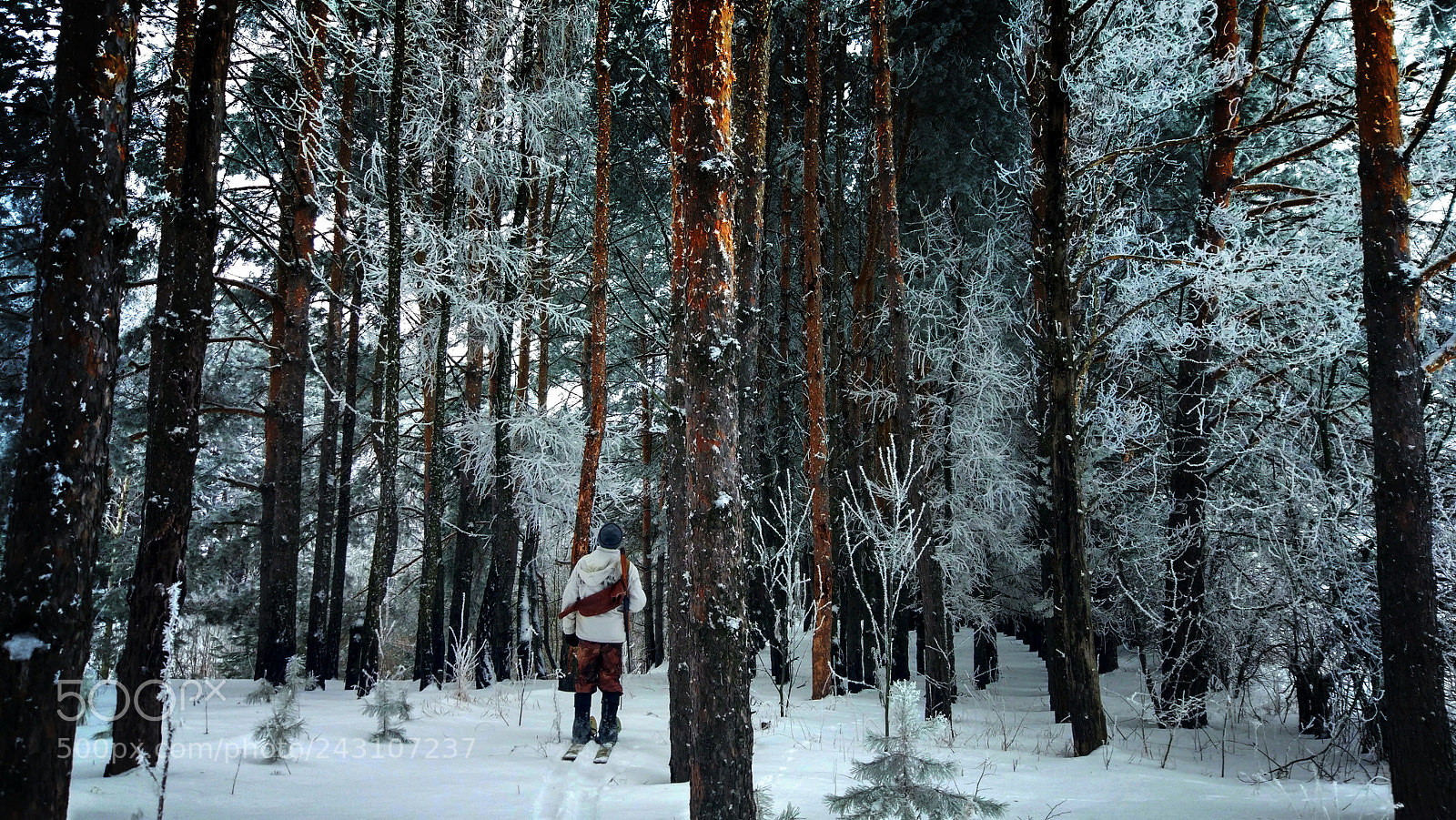 Xiaomi MI 5 sample photo. Hunter in the coniferous photography
