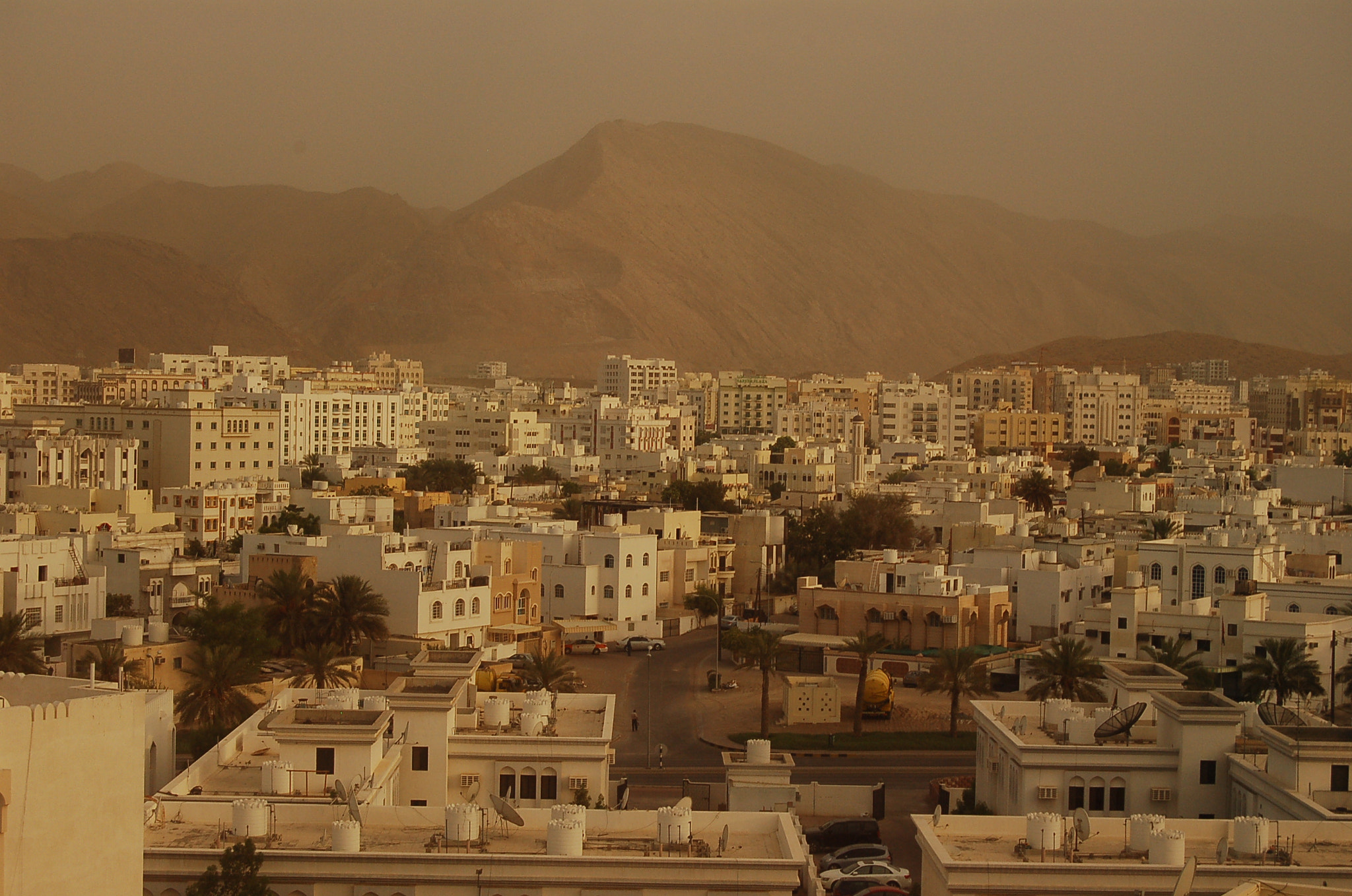 Nikon D50 sample photo. Muscat photography