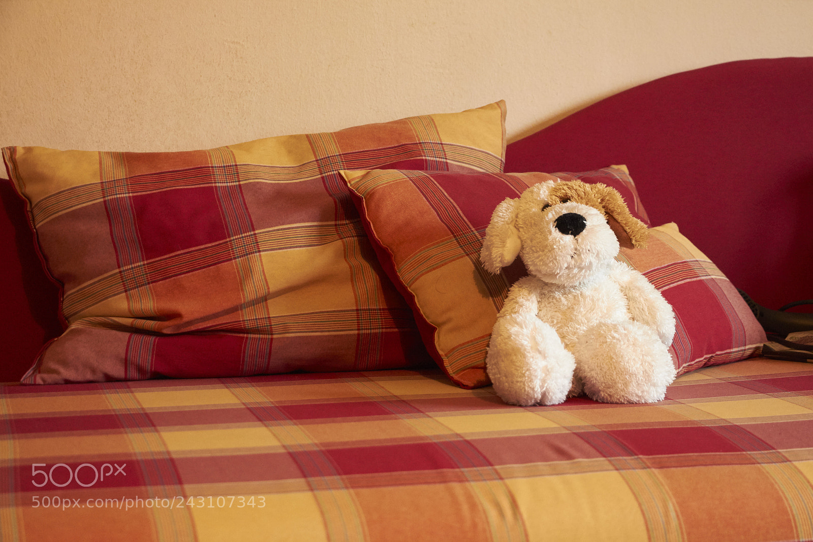 Canon EOS 650D (EOS Rebel T4i / EOS Kiss X6i) sample photo. Play with me photography