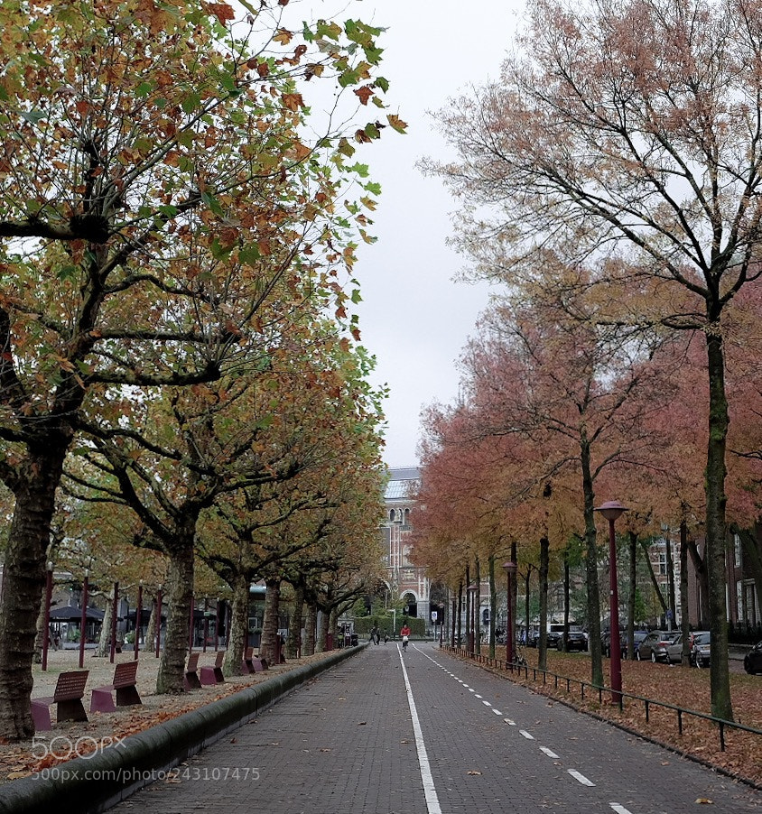 Fujifilm X-T10 sample photo. Autumn photography