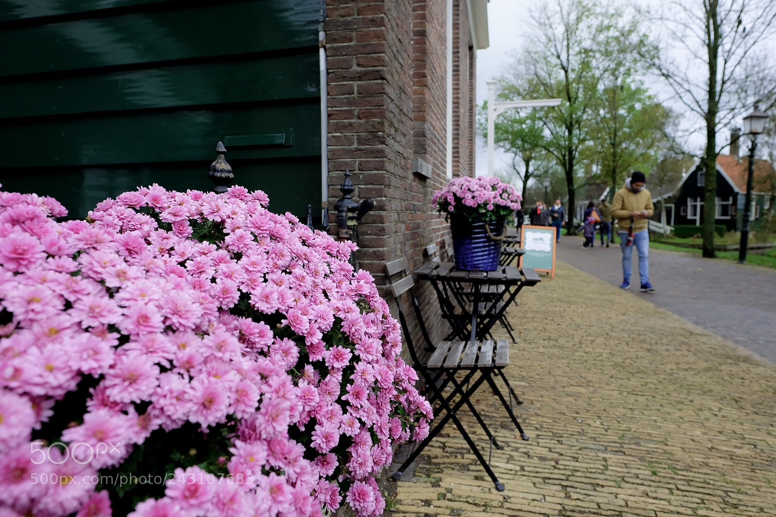 Fujifilm X-T10 sample photo. Untitled photography