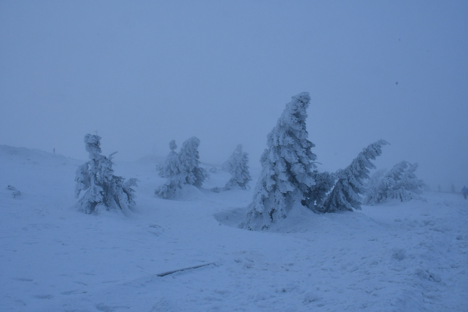 Nikon D500 sample photo. Brocken on the top photography