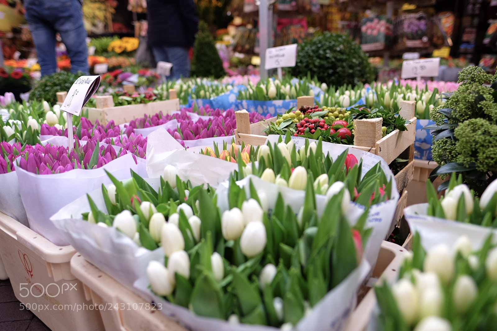 Fujifilm X-T10 sample photo. Bouquet photography
