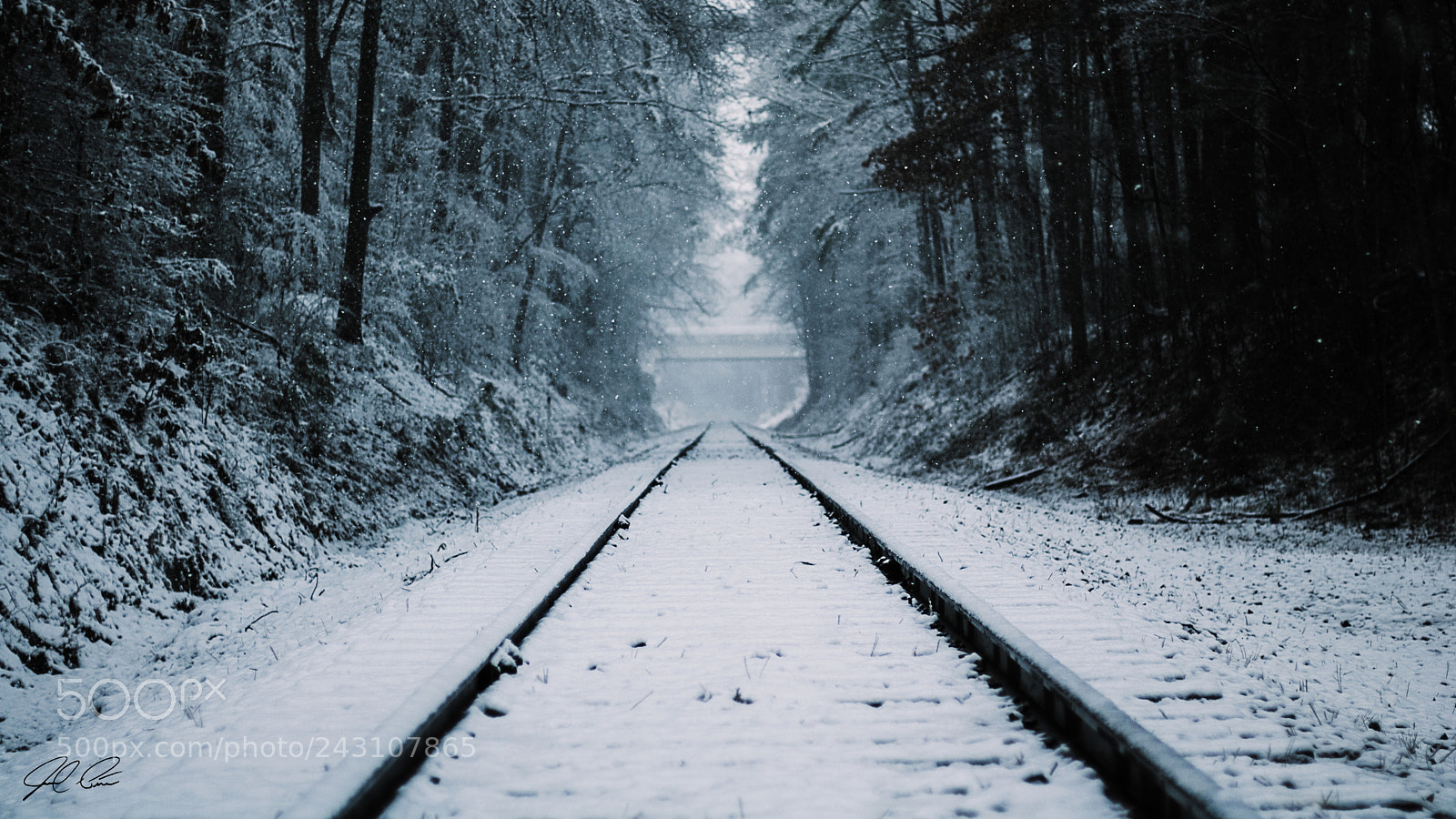 Canon EOS 750D (EOS Rebel T6i / EOS Kiss X8i) sample photo. Snowy train tracks photography