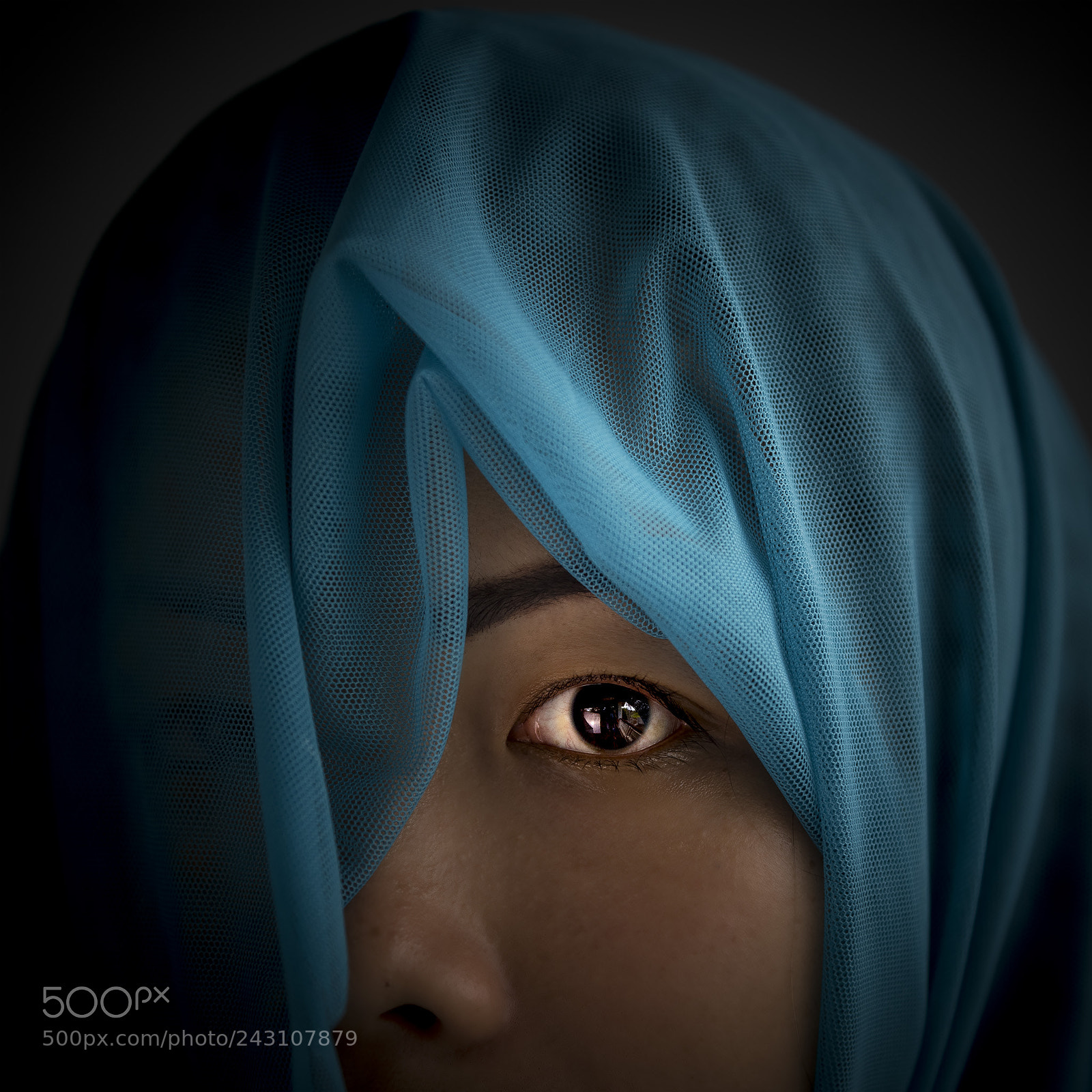 Nikon D810 sample photo. The eye of the photography
