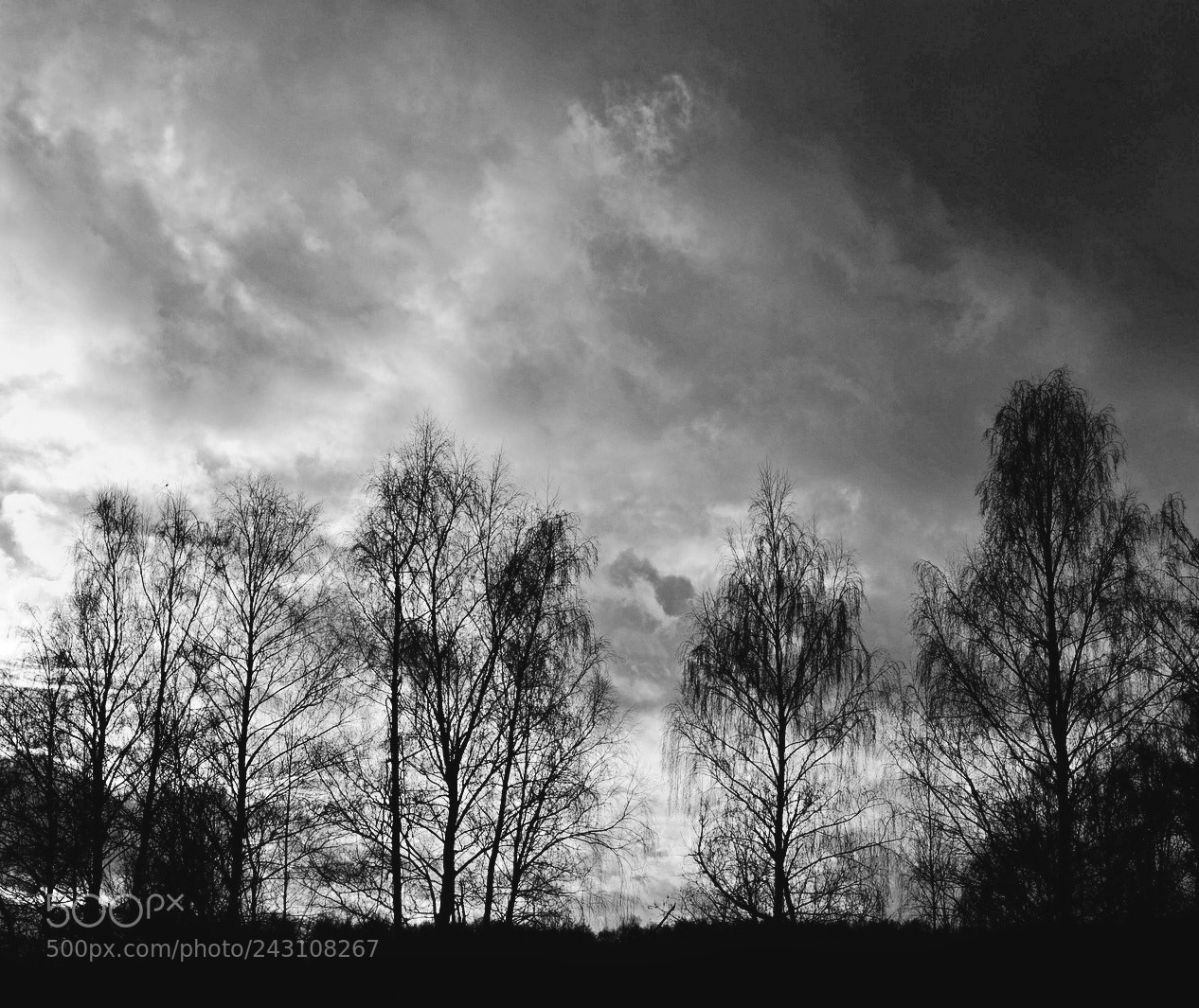 Nikon D700 sample photo. B&w photography