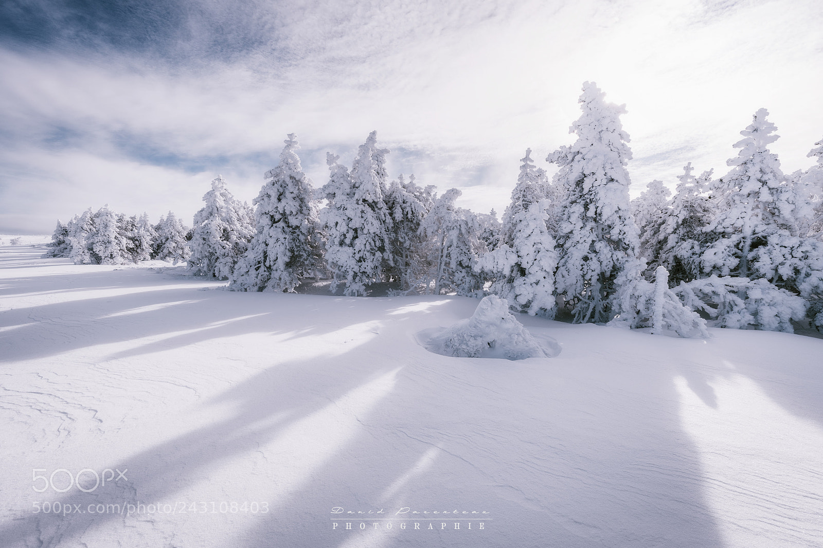 Sony a7 sample photo. Winterland photography