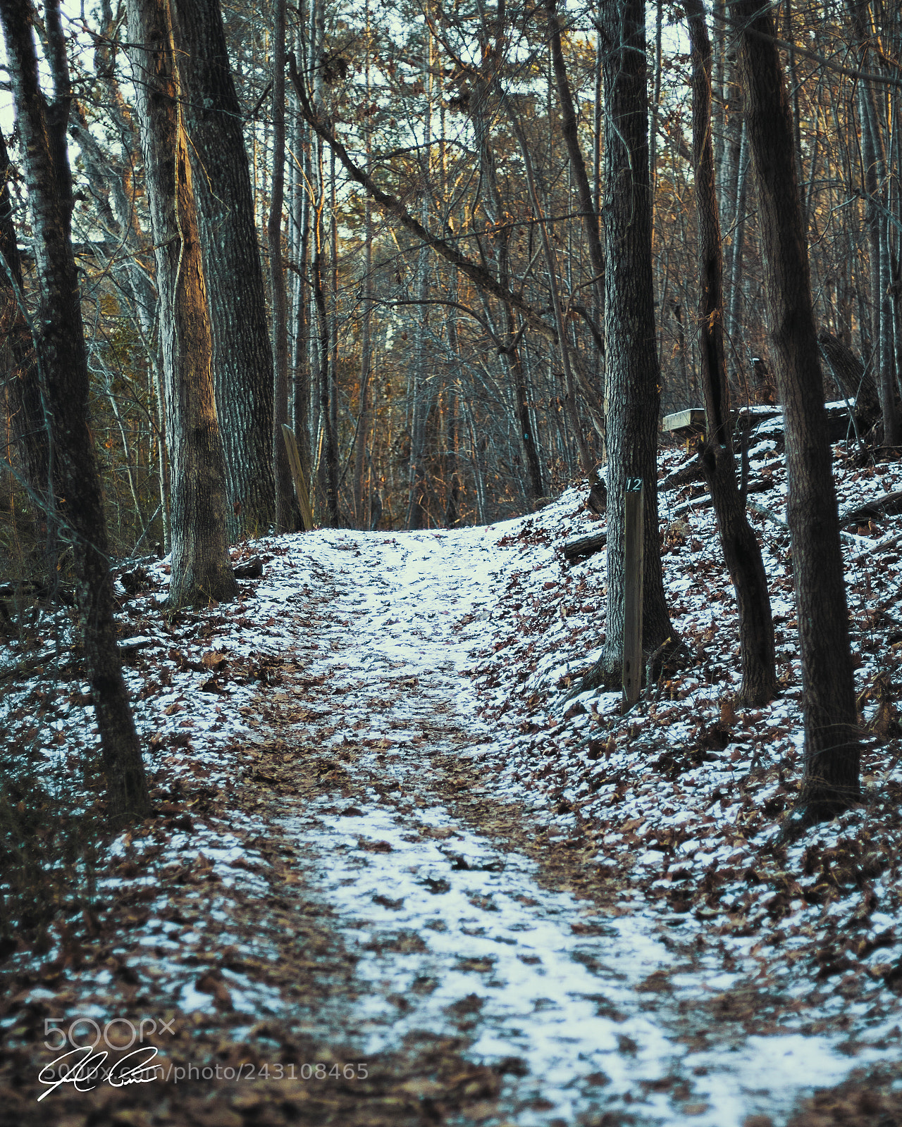 Canon EOS 750D (EOS Rebel T6i / EOS Kiss X8i) sample photo. Snowy path photography