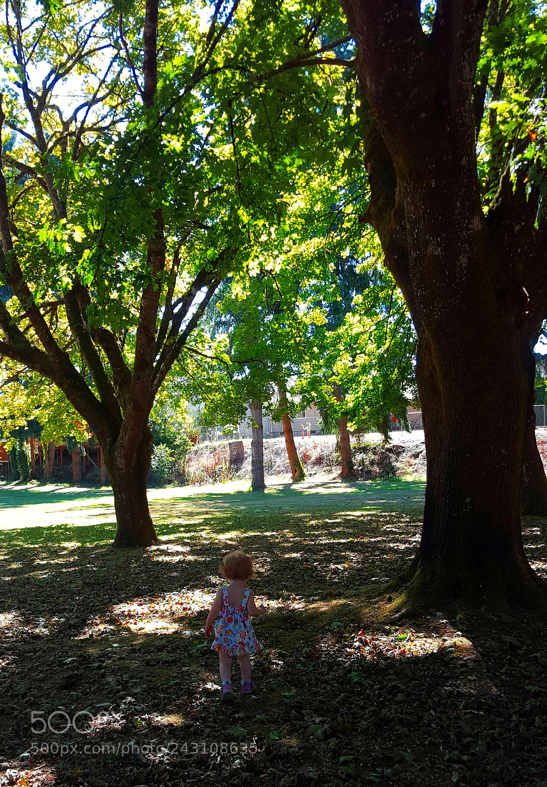 Samsung Galaxy S6 sample photo. Adventure time photography