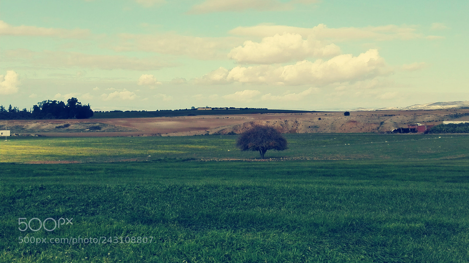HUAWEI P8 Lite sample photo. Untitled photography